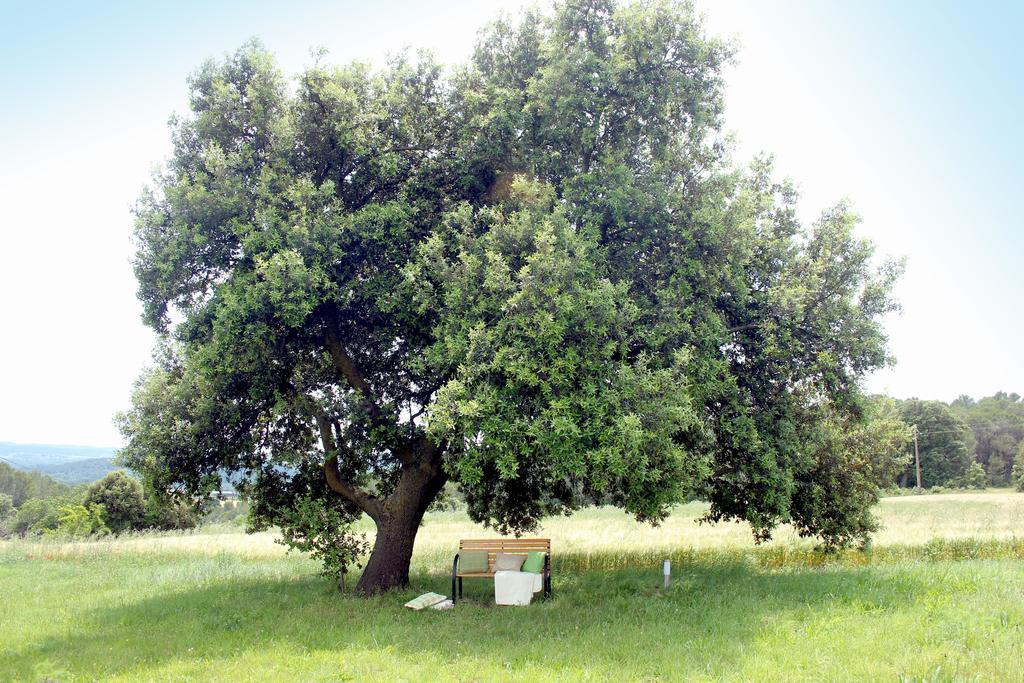 Mas La Casa Nova Villa Pontos Cameră foto